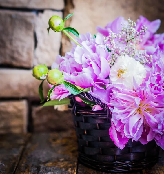 Peonies on rustic wooden background — Stock Photo, Image