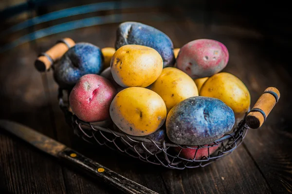 Patate rosse, blu e gialle su fondo di legno — Foto Stock