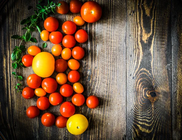 소박한 배경에 화려한 토마토 — 스톡 사진