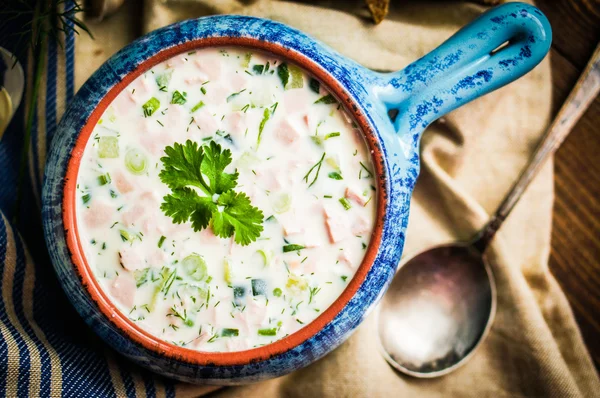 Sopa de verão fria no fundo rústico — Fotografia de Stock