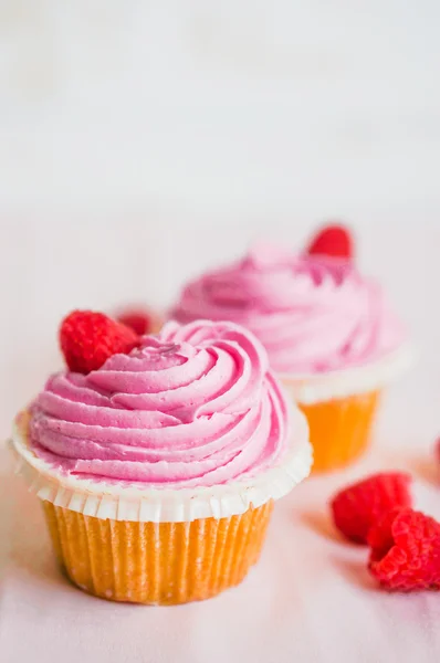 Muffin al lampone — Foto Stock