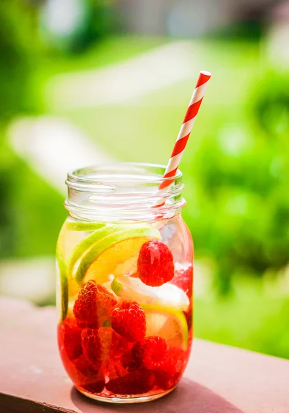 Detox vatten cocktail — Stockfoto