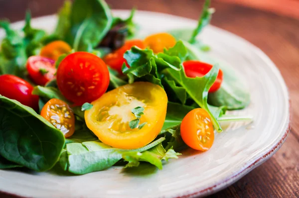 Grüner Salat mit bunten Tomaten — Stockfoto