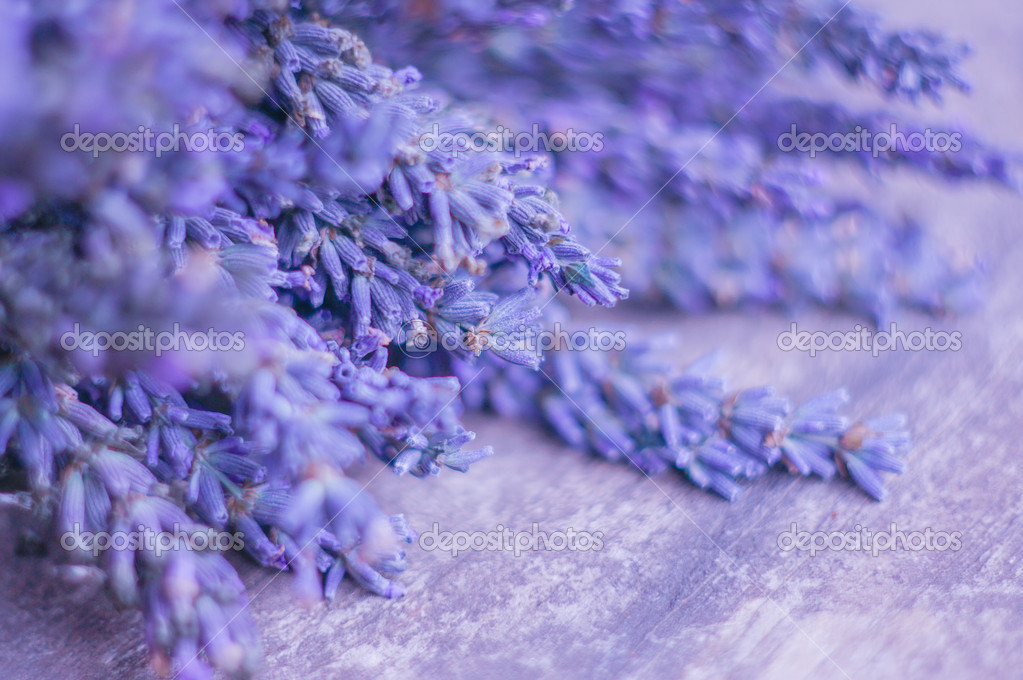 Lavender bunch on wooden background Stock Photo by ©ehaurylik 49762761