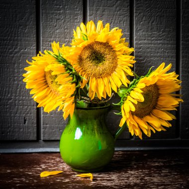 vazo ile ayçiçeği