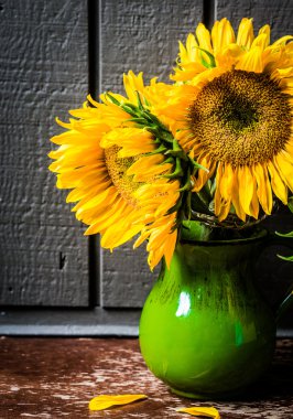 vazo ile ayçiçeği