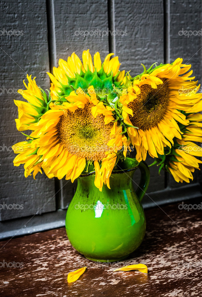 Vase with sunflowers — Stock Photo © ehaurylik 50015993