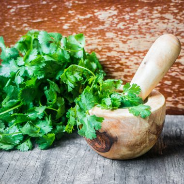 Ahşap arka planda maydanoz