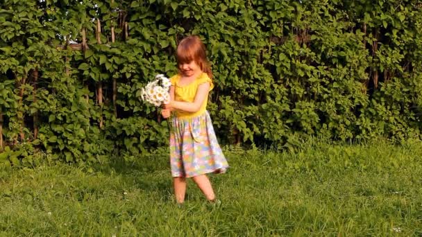 Little girl with a bouquet of camomiles, smiles — Stock Video