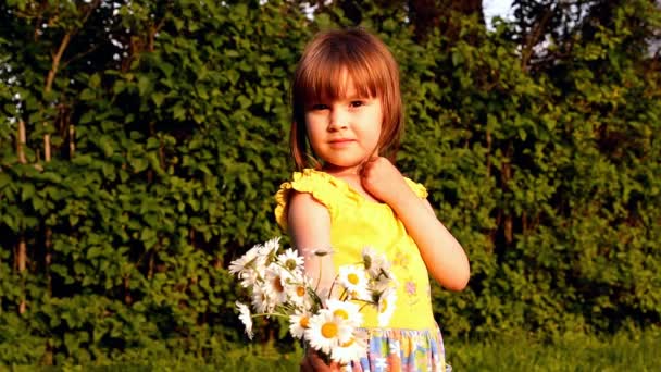 Niña con un ramo de manzanillas, sonrisas — Vídeos de Stock