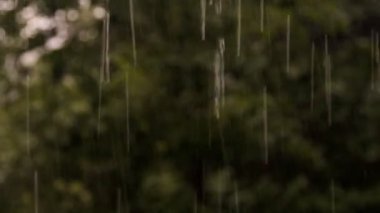 şiddetli yağmur, yağmur, su bir çatı yaz