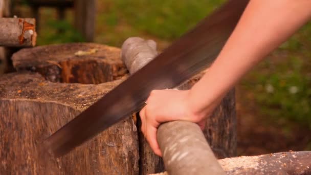 Щоб побачити дрова, дерев'яний стовбур ручної пилки — стокове відео