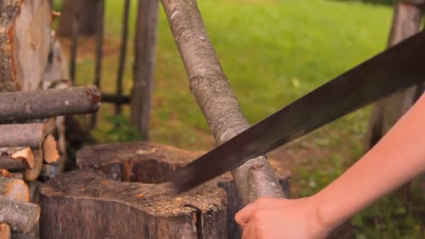 薪を見た木の幹、手を見た — ストック動画