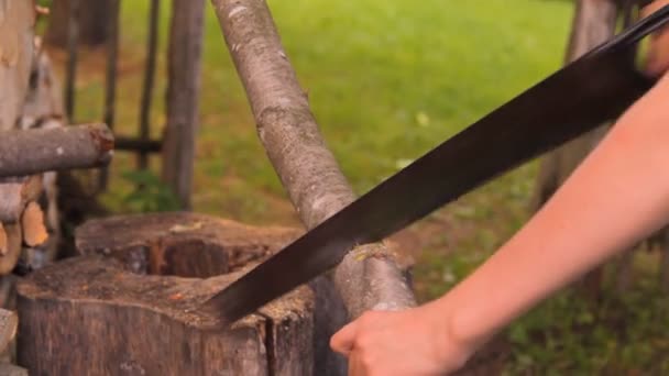 Чтобы увидеть дрова, ствол дерева ручной пилы — стоковое видео