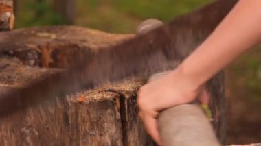 gördüm yakacak odun için ağaç gövdesi eli gördüm.