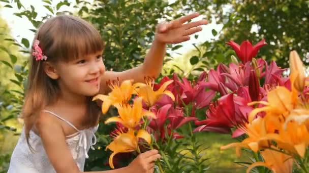 La ragazza tra gigli, i fiori sorridono onde una mano — Video Stock