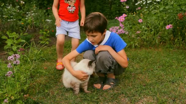 Мальчик и девочка, брат и сестра, дети гладили кошку на природе — стоковое видео