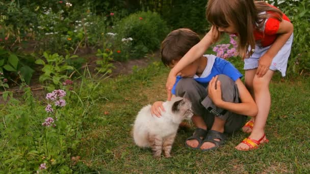 Мальчик и девочка, брат и сестра, дети гладили кошку на природе — стоковое видео