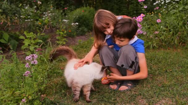 Pojke och flicka, bror och syster, barnen klappade katten i naturen — Stockvideo