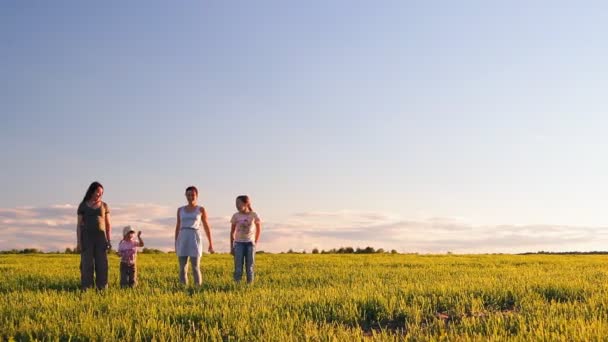 Deux femmes et deux enfants s'agitent, sautent, tourbillonnent dans une prairie sur l'herbe verte — Video