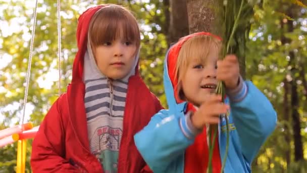 Two girls playing, laughing on a swing — Stock Video