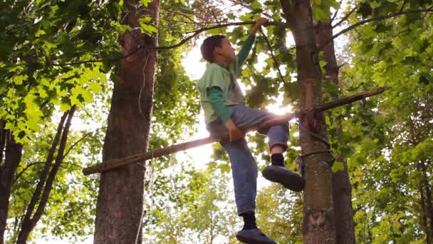 Pojke kullerbyttor på baren och klättrar ett träd — Stockvideo