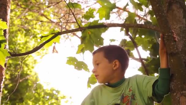 Boy somersaults on the bar, and climbs a tree — Stock Video