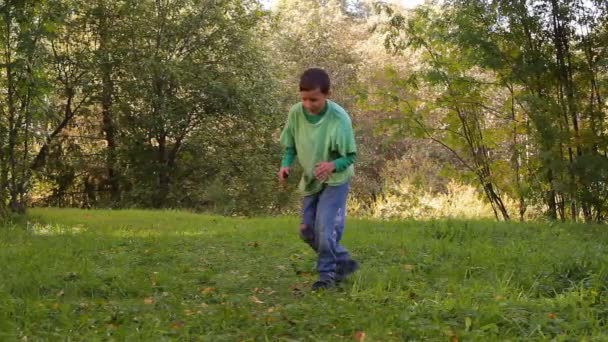 Danse de garçon, sauts périlleux, saut sur l'herbe — Video