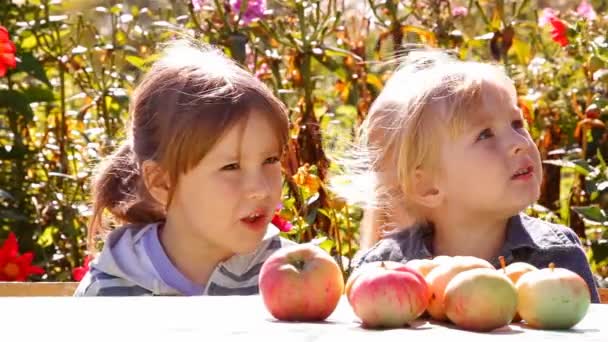 Zwei Mädchen mit Äpfeln, essen Gespräche — Stockvideo