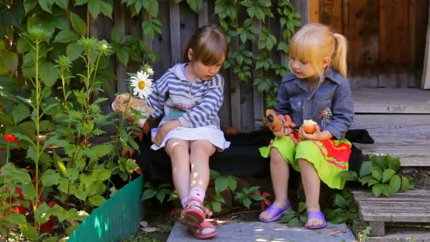 Две девочки едят яблоки, играют в собачьи игрушки — стоковое видео