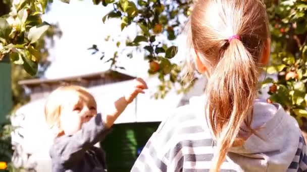 Kaksi tyttöä puutarhassa Apple — kuvapankkivideo