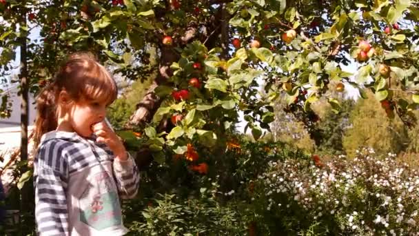 Две девушки в саду Apple — стоковое видео