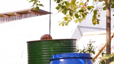 su büyük varil bahçede oynayan iki kız