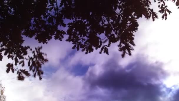 Sonbahar gökyüzü bulutlar — Stok video