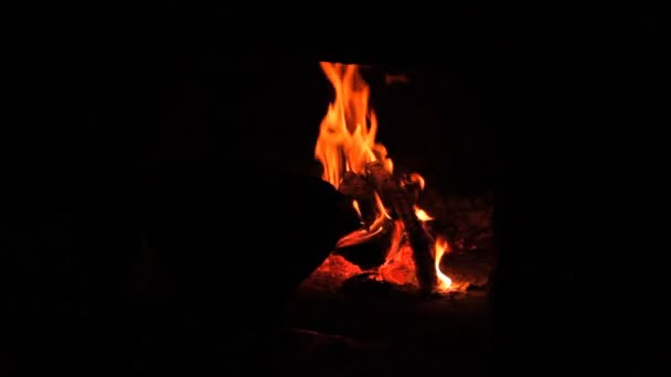 Feuer, Holzofen, Kamin — Stockvideo