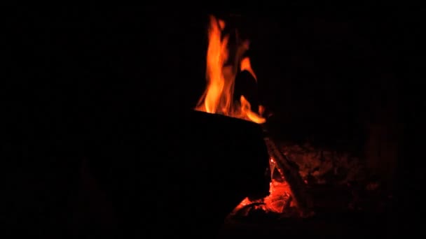 Fire, wood-burning stove, fireplace — Stock Video