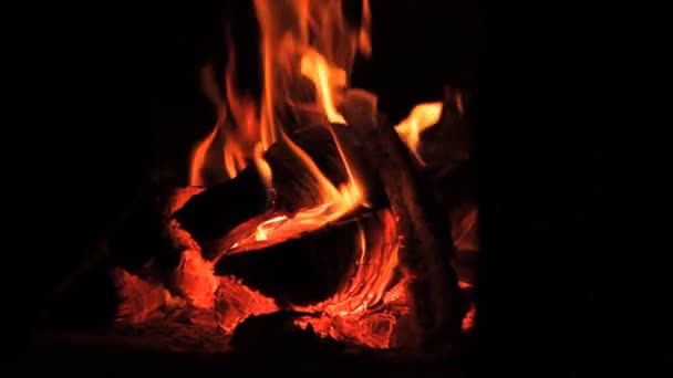 Вогонь, дров'яна піч, камін — стокове відео