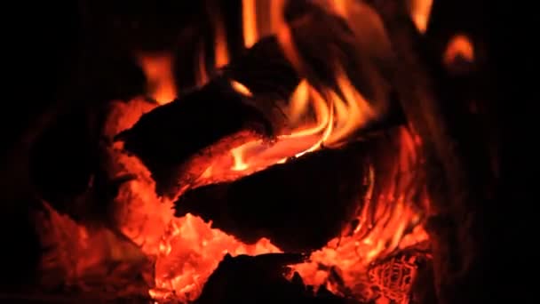 Fire, wood-burning stove, fireplace — Stock Video