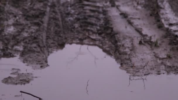 Off-road smuts, pölar av regn — Stockvideo