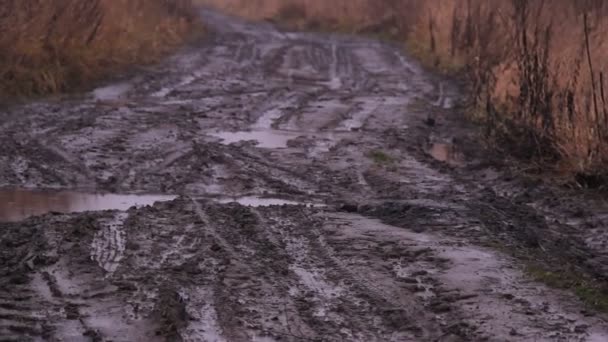 Off-road dirt, puddles of rain — Stock Video