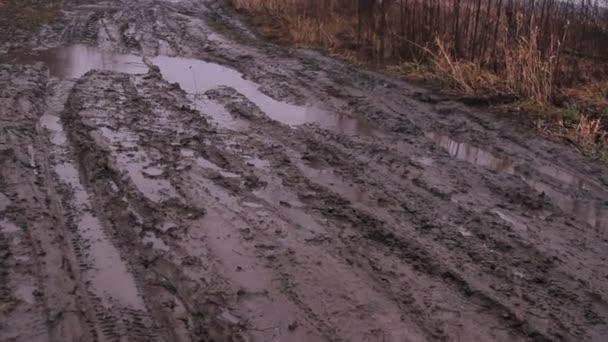 Murdărie off-road, bălți de ploaie — Videoclip de stoc