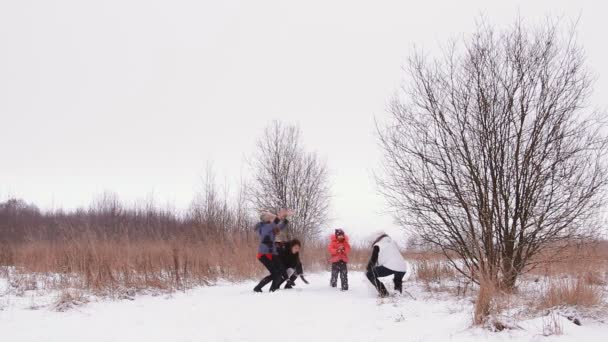 Las niñas y los niños se divierten en la naturaleza de invierno — Vídeo de stock