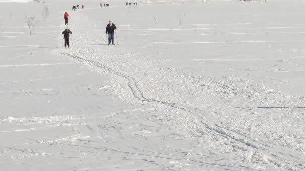 Die Leute, die im Winter Ski fahren — Stockvideo