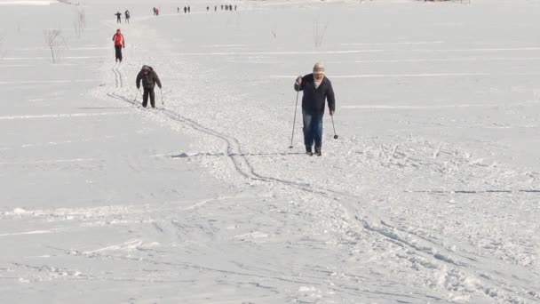 De mensen in de winter skiën — Stockvideo