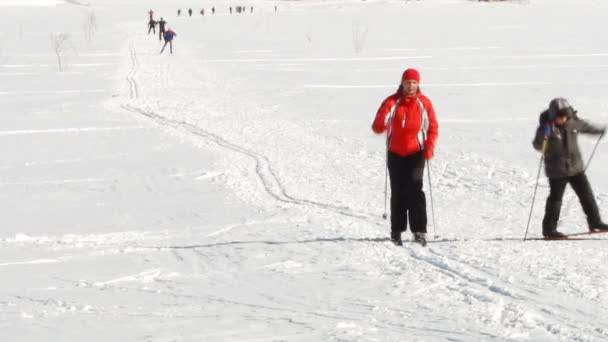 Die Leute, die im Winter Ski fahren — Stockvideo