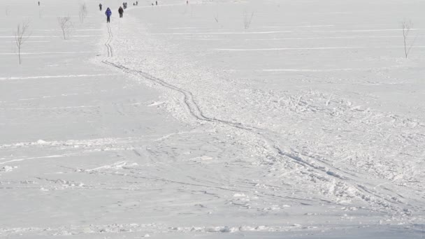 Lidé, v zimě lyžování — Stock video