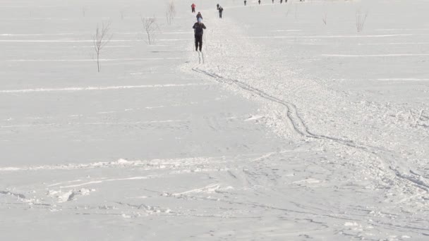 Die Leute, die im Winter Ski fahren — Stockvideo