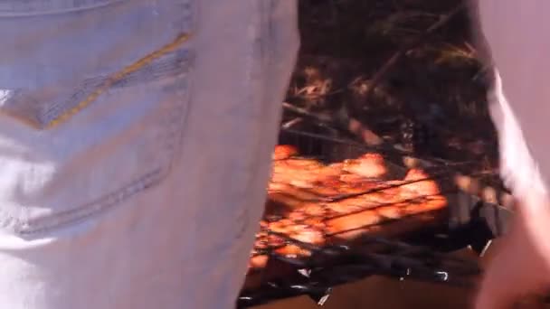 Shashlik carne frita sobre carbones — Vídeo de stock