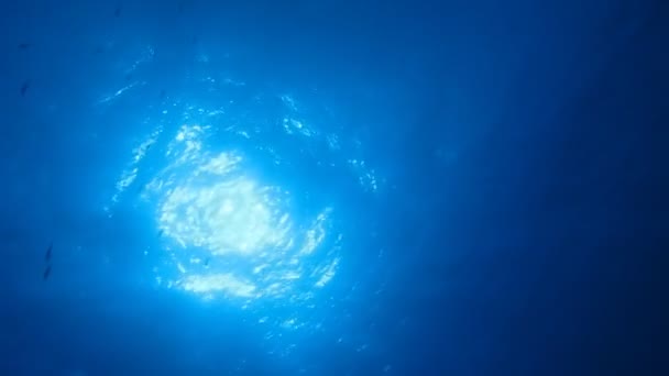 Sonnenblick unter Wasser — Stockvideo