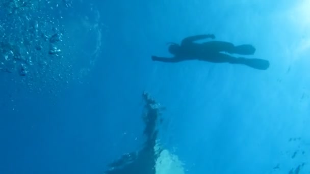 Plongeur libre (silhouette), yacht, mer, soleil — Video